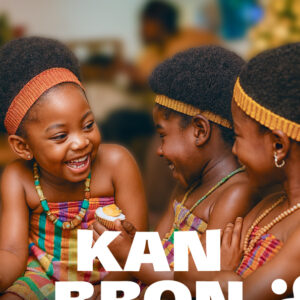 cover kan bron parlons bron
